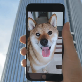 ボクも真似っこ！世界の柴犬KOJIROいい気分になれたアプリケーションの画像