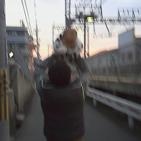 ランシノー(動画見れるようになりました～♪)の画像