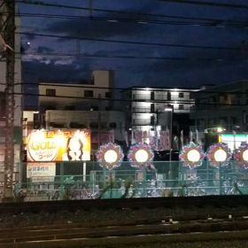 こ、これは…の画像