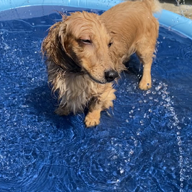 今年の夏…大活躍は？の画像