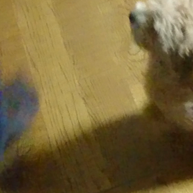 ごはん 話せる日が来る❓の画像