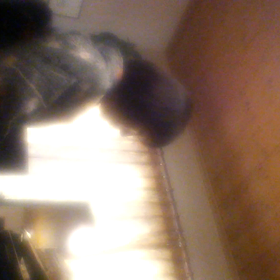 着物でベートーベン…の巻の画像