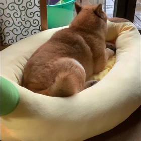 台風8号通過？の画像