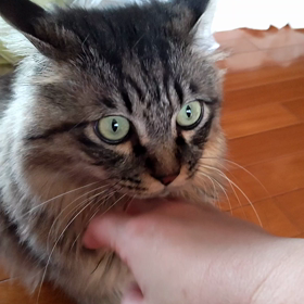 うまいか？の画像