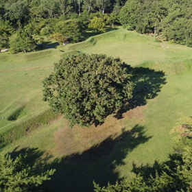 朝練やってるよ✌️の画像