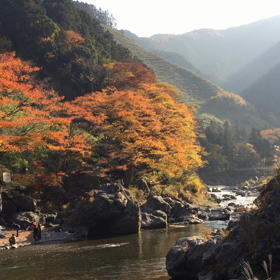 だいじょーぶ 紅葉の中での画像