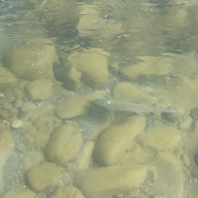 突然起きる悲しみの画像