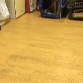 エラかったぞ。の画像