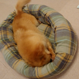 もだえるヨナハちゃん(笑)の画像