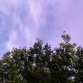 “自然と音遊び” プロジェクト vol.057！の画像