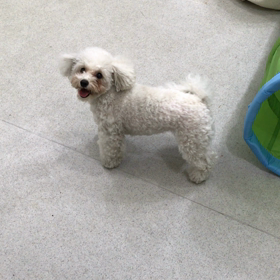 ♪プレイルーム動画♪の画像