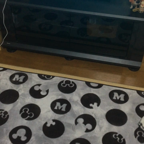 1人(犬)遊びの画像