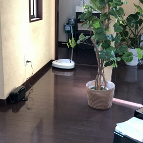 借りてみた(^^)の画像