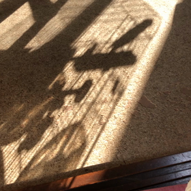 シルエットぴーちゃん♡の画像