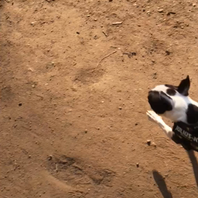 運動会の季節の画像