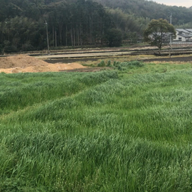 自分を受け入れているかどうかってことの件の画像