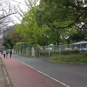 リレー選考会（ゴール付近）⑭の画像