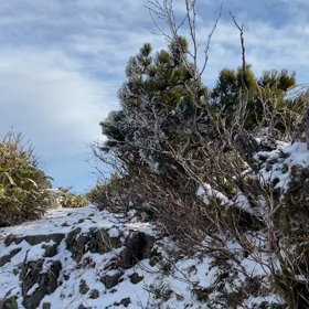 藻琴山登山の画像