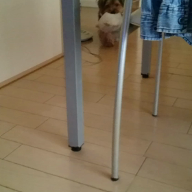 大好きなくまちゃん咥えての画像