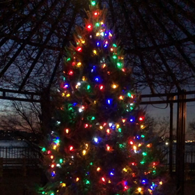 クリスマス前ののんびりした一日の画像