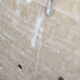 雛だらけの画像