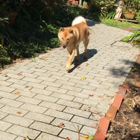 水嫌いガールの画像