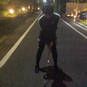 はじめました。の画像