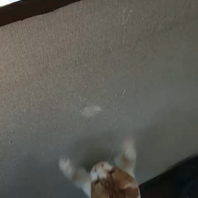 アグレッシブの画像