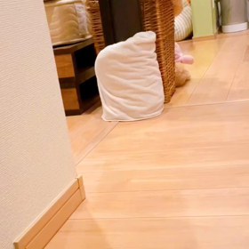 このおじさん、、、、の画像