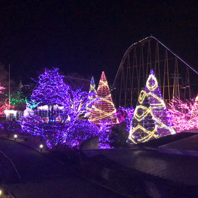 イルミネーション！の画像