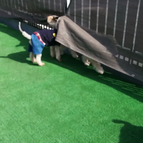 だいたい？良いお天気の水曜日～( ´ ▽ ` )の画像