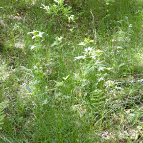 危ない動画有り。。。集めたポイントはすぐ使う派？貯める派？の画像