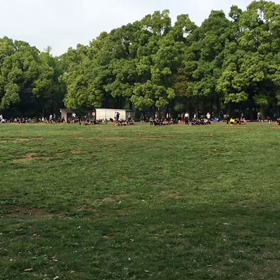 10色リレー折り返し地点⑥の画像