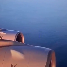 感情と信用の画像