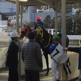 【ノルマンディー】浦和>>>船橋＝大井>>>川崎の画像