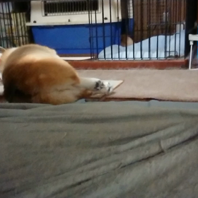 みてたぁ？？の画像