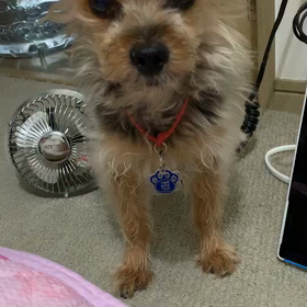 旅立つ友(娘)への画像