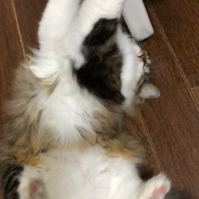 イライラ？の画像