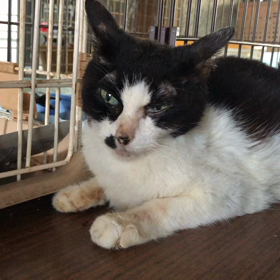 意欲はありますの画像