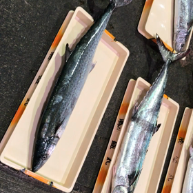 車海老が激減！？の画像