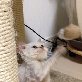 目線で笑えるの画像