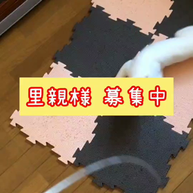 里親募集中！(リブログ歓迎)の画像