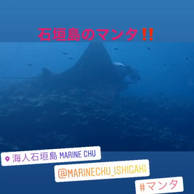 マンタ！海人石垣島の画像