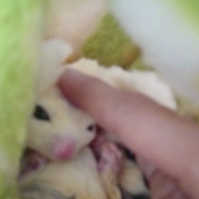 脱嚢はまだね～の画像