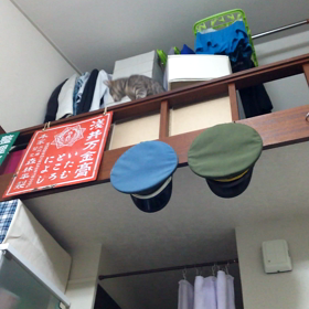 取れにゃいの画像