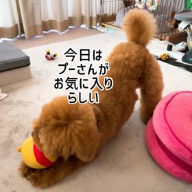 裸でのびのびの画像