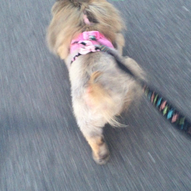 おしり♡の画像