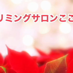 12月　〜今年最後のスライドショー〜の画像