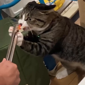 ケケが豹変の画像