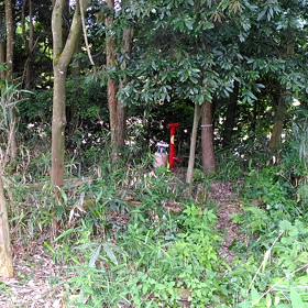 爆音機の掃除の画像